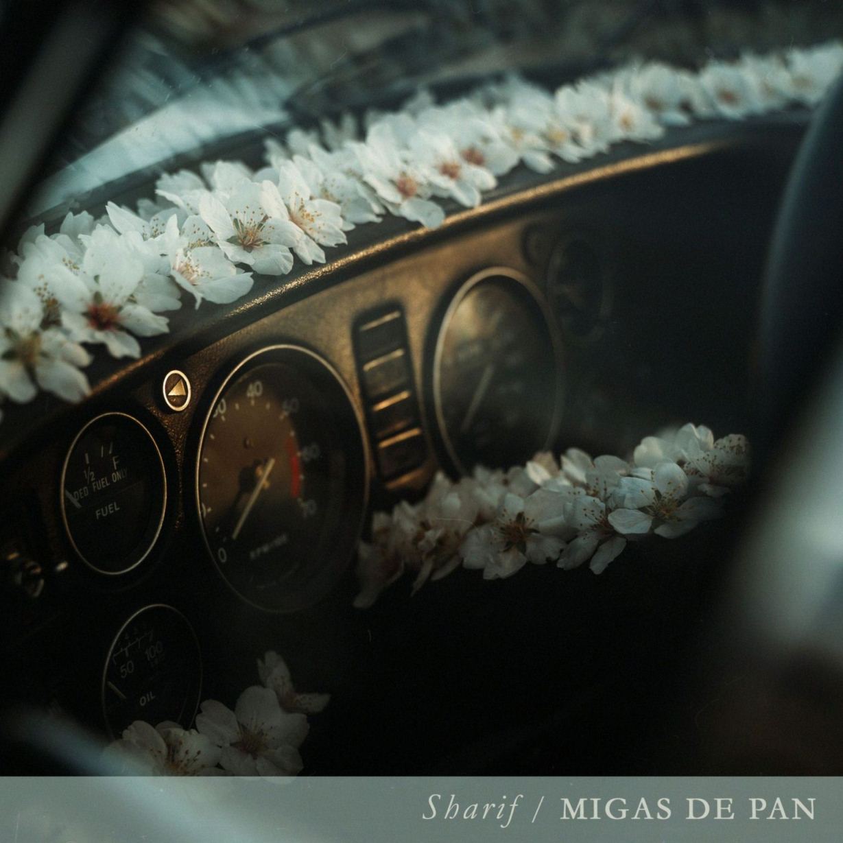 Sharif - Migas de pan (Portada) low Sharif - Migas de pan (Portada) low