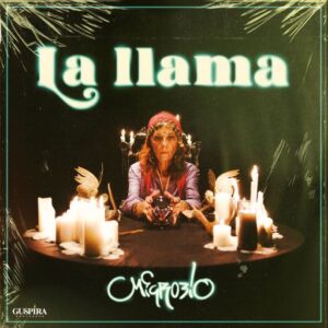 Microbio - La llama (portada) low low Microbio - La llama (portada) low low